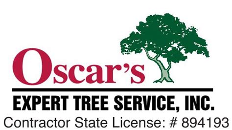 the oscars expert|oscars expert tree service.